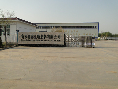 公司风采