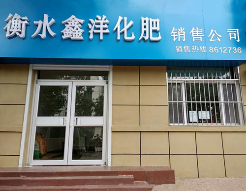 公司风采